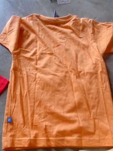 Cute Orange T-Shirt