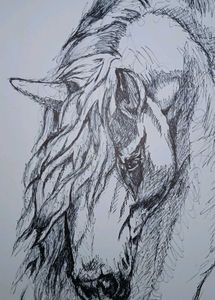 Silent Grace – A Handmade Horse Sketch