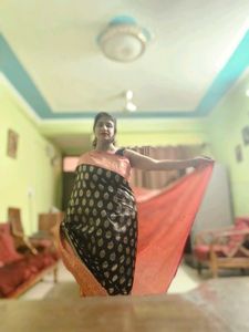 Elegant Traditional Saree