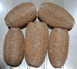 Pack Of 5 Natural Loofah
