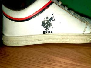 US POLO Copy Shoes