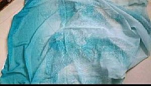 Aqua Blue Dupatta