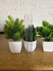 3 Artificial Plants