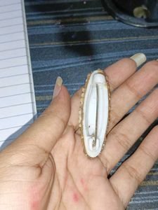 Beautiful Women Broach Stone Worked