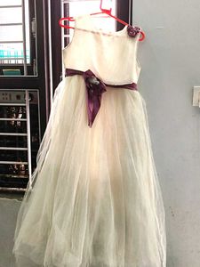 Elegant Girls Dress net  full frel gwon