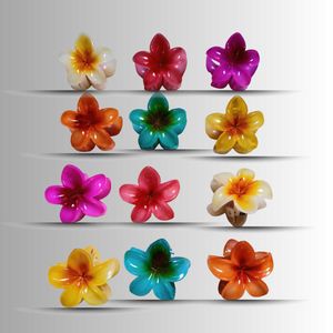 Floral  - Colorful Claw Clip Pack Of 12