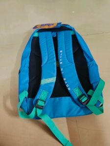 Skybags Blue And Green Unisex Bag With Tag
