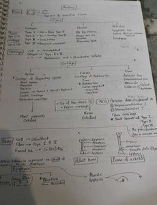 Anatomy Hand Made Photocopy Notes