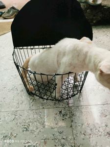 Metal Storage Basket