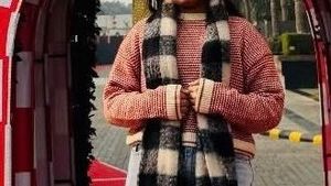 Striped Knit Pullover Sweater