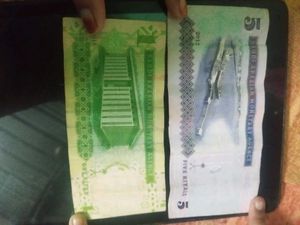 Saudi Riyal