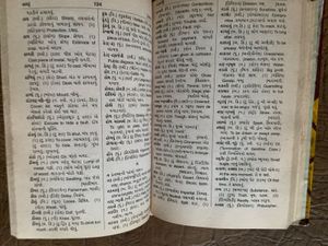 Combo Of Two Dictionaries English - Gujarati