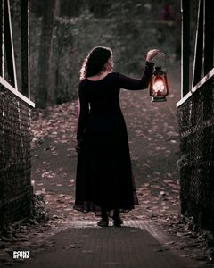 Nejadhari Flared /A Line Gown