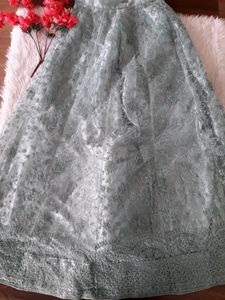 Pastel Green-Blue Shade Bridal Wear Lehenga Choli