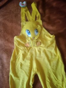 Tweety Dungri