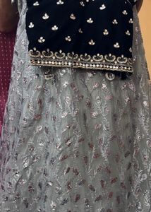 Embroidered Lehenga Choli
