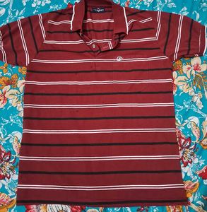 Striped Maroon Polo Shirt