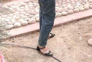 Shoes Nd Belly In Combo
