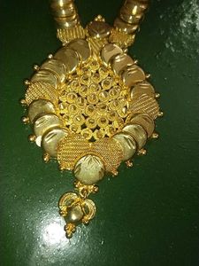 Gold-Tone Necklace( Covering Chain )