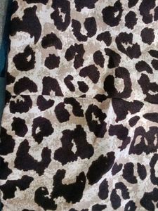 Leopard Print Crop Top