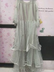 Elegant Ethnic Gown