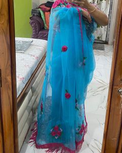 Blue Organza Saree with Floral Embroidery