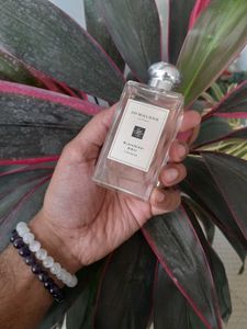 Jo Malone London Blackberry &amp; Bay