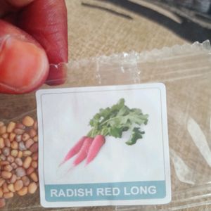 Vegetable Seeds