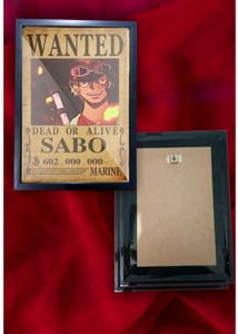 SABO Dead or Alive Wall Frame 1 Pcs for Anime Fans