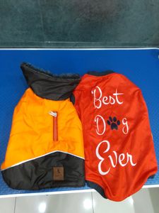 dog&#39;s Jacket
