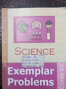 Exemplar Problems For 7th