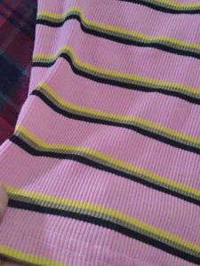 Striped Pink Crop Top