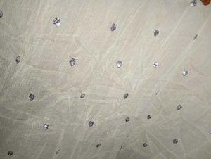 Embellished Dupatta set of 2