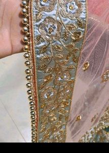 Beautiful pistol shade lehenga