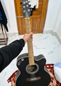 Guiter