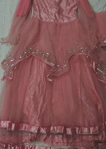 Pink Embellished Lehenga Choli