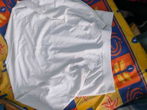 White Long Sleeve Top