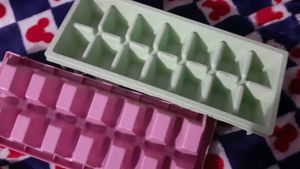 New 2PCS ICE TRAYS