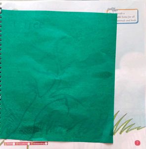 Class 5 Art And Craft