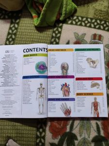 Human Body Encyclopedia