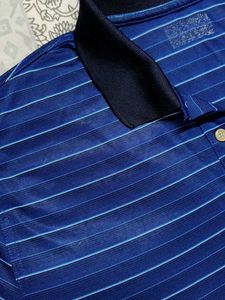 Men Blue Striped Classic Collar Tshirt