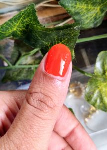 Nail Polish/ Nail Paint- Orange, Silver, Aqua Green