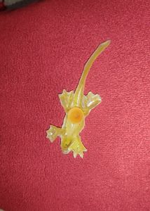 Toy Lizard Silicon Rubber For Pranking People