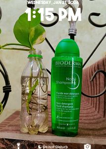 Bioderma Node Shampoo