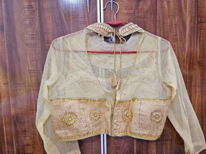Pista Color Lehnga Choli