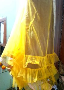 Orange Net Dupatta