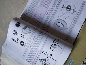ISC Class XI Books