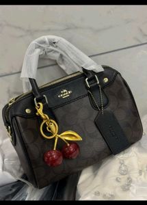 Coach Slingbags
