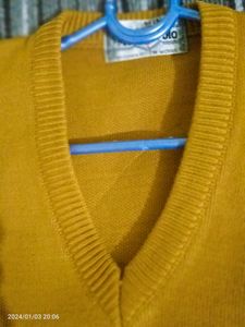 Mans Sweater
