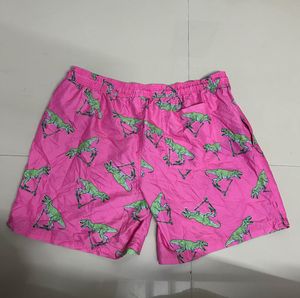Dino Print Swim Shorts
